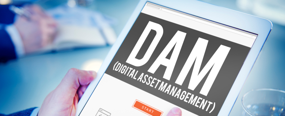 Was ist Digital Asset Management (DAM)?